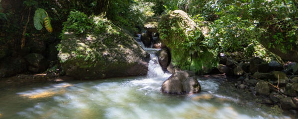 Chute d'eau en Martinique
