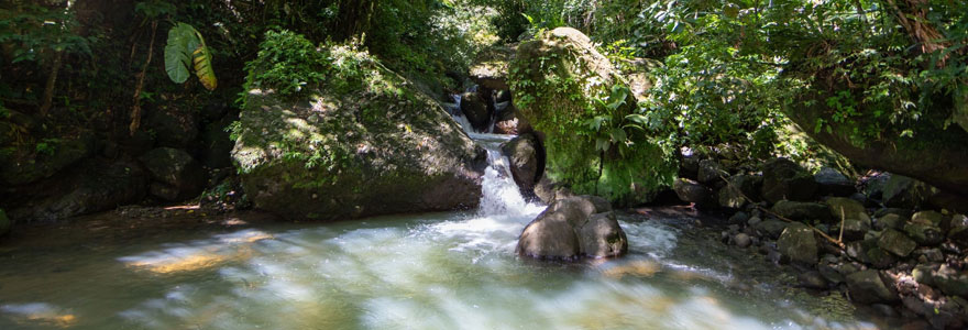 Chute d'eau en Martinique