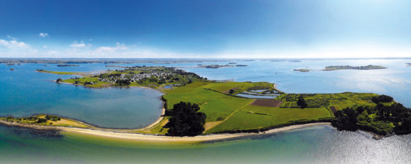 Île-d'Arz