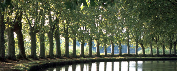 Vacances dans le Canal du Midi