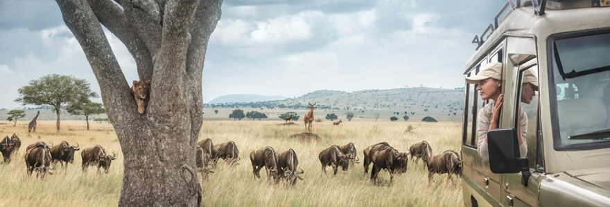 Tanzanie